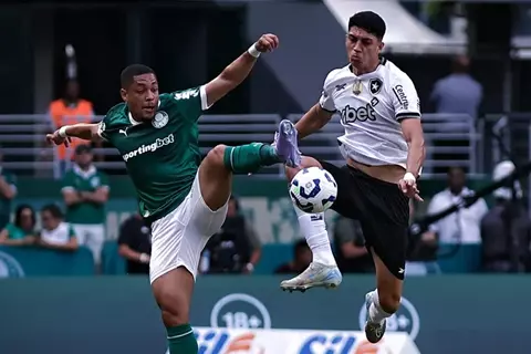 أجواء ما قبل مباراة بالميراس وبوتافوجو في كأس العالم للأندية (صور وفيديو)